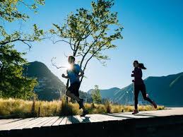 Image result for "Parco Ciani"