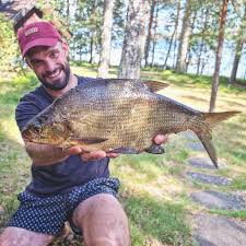 Image result for Abramis brama