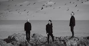 Image result for Rostrevor Hurling Club