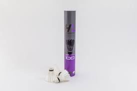 Image result for Shuttles Badminton Club (Frome)