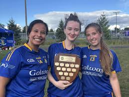 Image result for Wolfe Tones Gaelic Athletic Club