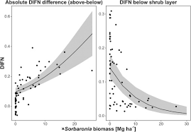 Attēlu rezultāti vaicājumam “x Sorbaronia fallax”