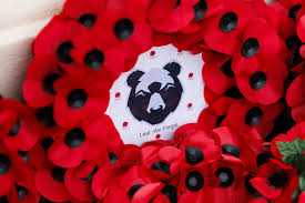 Image result for Broad Plain Rugby Club