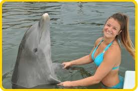 Image result for Dolphina Gc