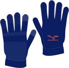 Image result for Hilton Harriers Fc