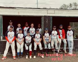 Image result for Norwich Iceni Baseball Club