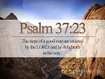 Bible Verse: Psalm 37:23 Deep Cliff Background Wallpaper ... 