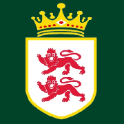 Image result for Worcester Dominies & Guild Cc