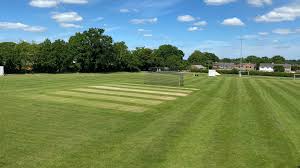 Image result for Wokingx1 Cricket Club