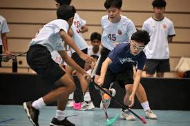 Image result for Basingstoke Demons Floorball Club