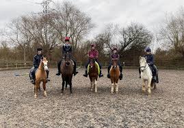 Image result for Lower Farm Stables