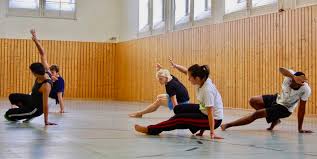 Image result for Capoeira Classes