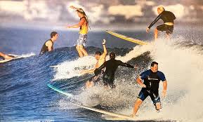 Image result for Scarborough Malibu Surf Club