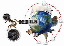 Image result for Evolution Stammbaum