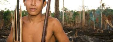 Image result for tribe[/url]