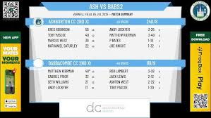 Image result for Lewdown Cricket Club