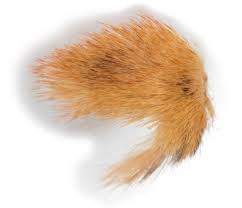 Attēlu rezultāti vaicājumam “Conistra rubiginea”