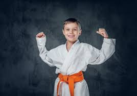 Image result for America's Best Karate