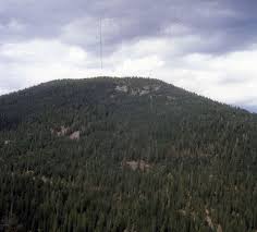 Attēlu rezultāti vaicājumam “Calliergon trifarium”