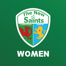 Image result for Woodley Saints Ladies FC