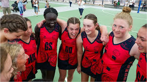Image result for Waverley Netball Club