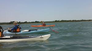 Image result for Basingstoke Canal Canoe Club