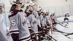 Image result for Adur Skater Hockey Club