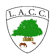 Image result for Lyndhurst Cricket Club