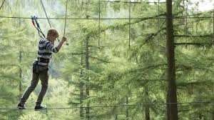 Image result for Go Ape! Dalby