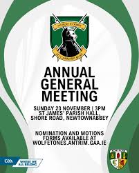 Image result for Wolfe Tones Gaelic Athletic Club
