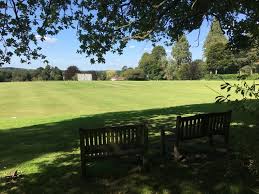 Image result for Liphook & Ripsley Cc