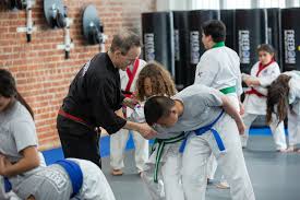 Image result for Freedom Martial Arts