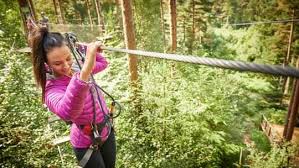 Image result for Go Ape! Dalby