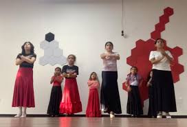 Image result for Flamenco Dance School