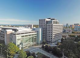 Image result for stamford cc