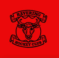 Image result for Havering Skater Hockey Club