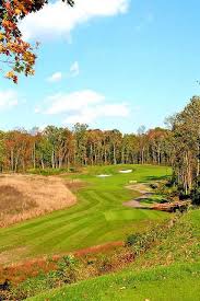 Image result for Ravensworth Golf Club Ltd