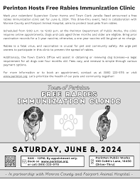 Image result for United in the Community - Horncastle 7-15 years