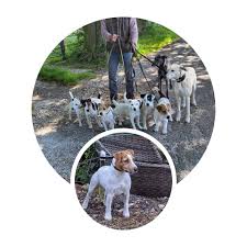 Image result for West Meon Rifle Club