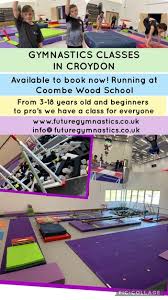 Image result for Croydon School Of Gymnastics