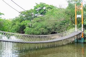 Image result for PONT DE SINGE