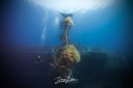 Image result for Deep and Wide Diving