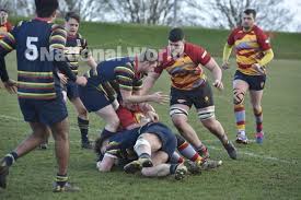 Image result for Northampton Old Scouts Rfc