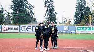 Image result for Oblivion Softball Club