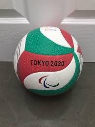 Image result for Chesterfield Cobras Volleyball Club