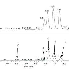 Attēlu rezultāti vaicājumam “Carex lepidocarpa fruit”