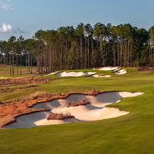 Image result for South Holderness Gc