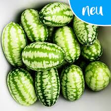 Image result for Gurke