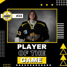 Image result for Cardiff Comets Ladies Ice Hockey