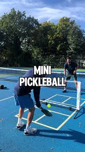 Image result for South London Area Pickleball - SLAP!